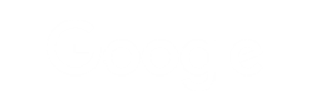 white google logo